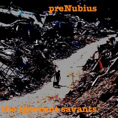 prenubius