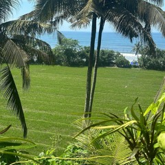 Ep1 Balian Beach Organic House / LOVE BALI VIBE