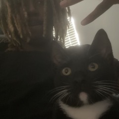 da beginning (prod.ovidoo)
