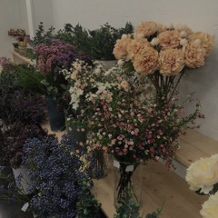 곽태풍 - MOONFLOWER