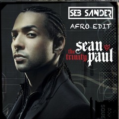 Sean Paul - Temperature (Sander Afro Edit)