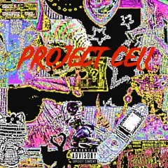 Pouring 4s/project cell intro