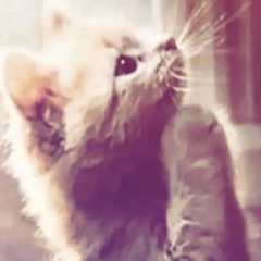 meaw