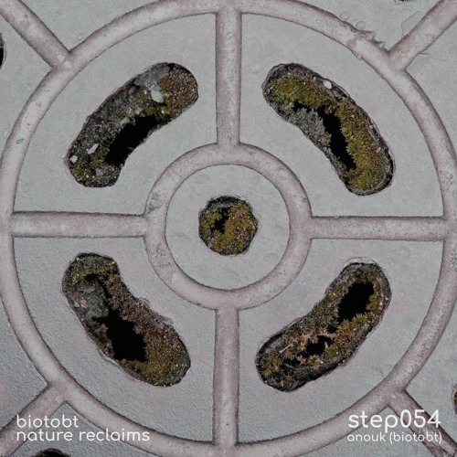 step054 by anouk