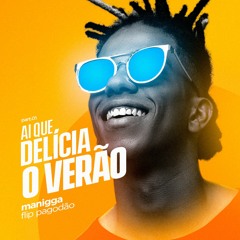 Ai que delícia o verão (Ombrim) - Flip Pagodão