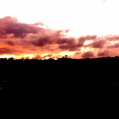 Ascension (Original Mix)