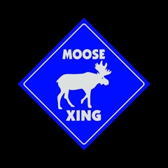 Moosecrossing : A Xing Of MØØSE Mix