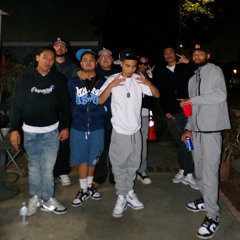 WS Freestyle