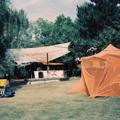 Atzenernst - Felo 25