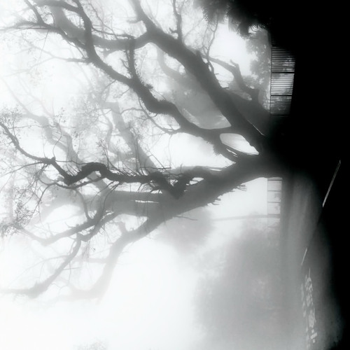 last word XVIII (Colzine & katsura)