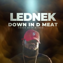 LEDNEK- DOWN IN THE MEAT (SDB VERSION)