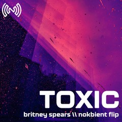 Britney Spears - Toxic (nokbient flip)