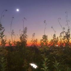 Falling for You (feat. Shinkie Maz, Tushwoski & OG7even)