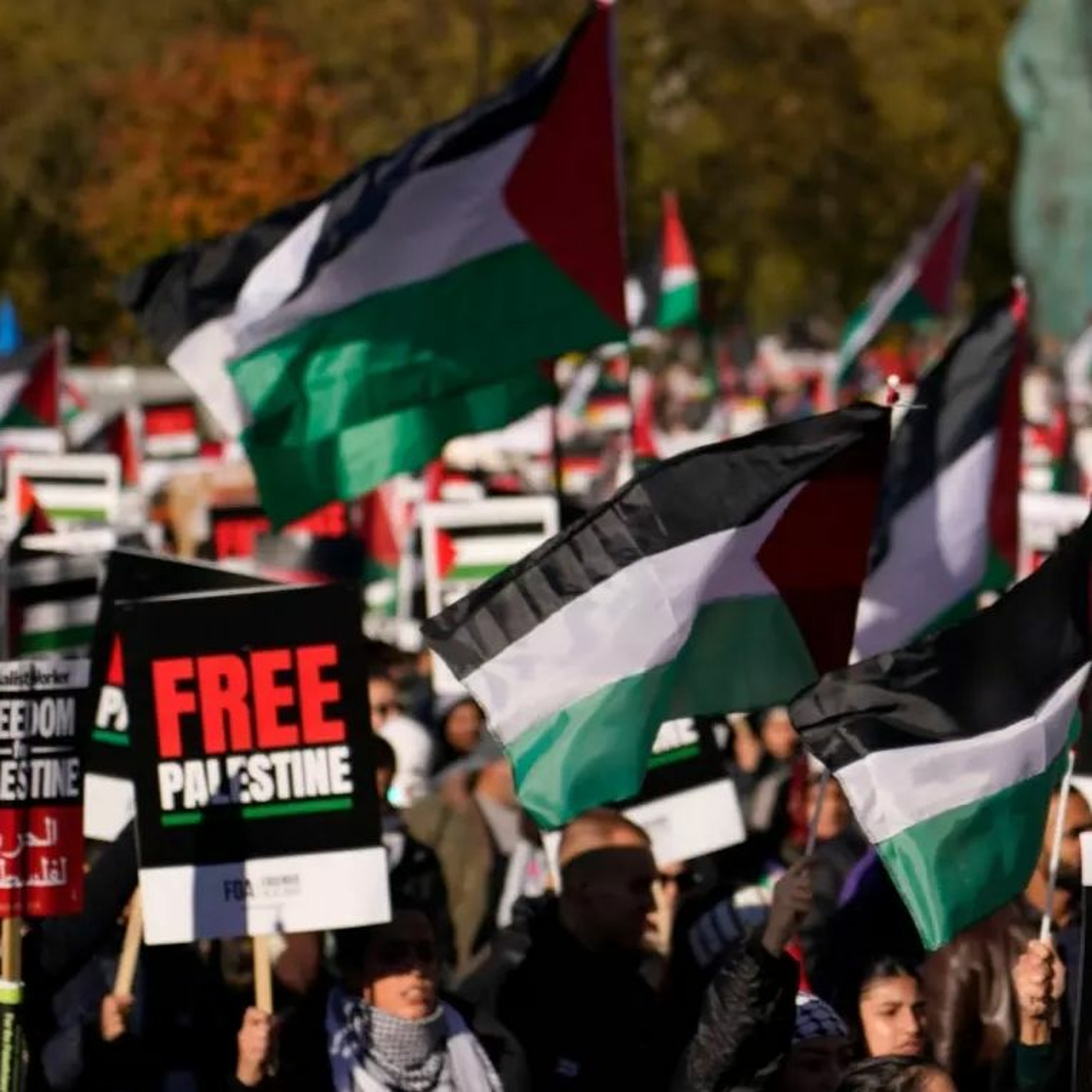 The Tasks Of Communists In The Palestine Solidarity Movement