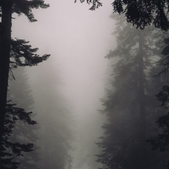 The Journey