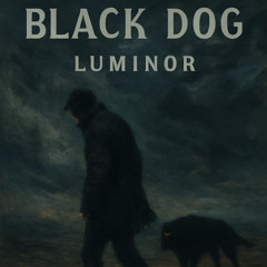 Black Dog