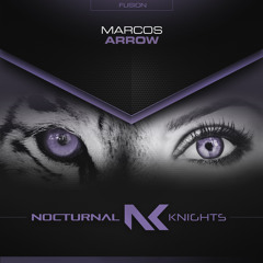 Arrow (Extended Mix)