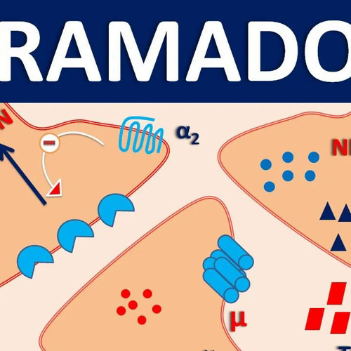 Tramadol online overnight