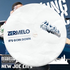 ZERMELO - It's Goin' Down