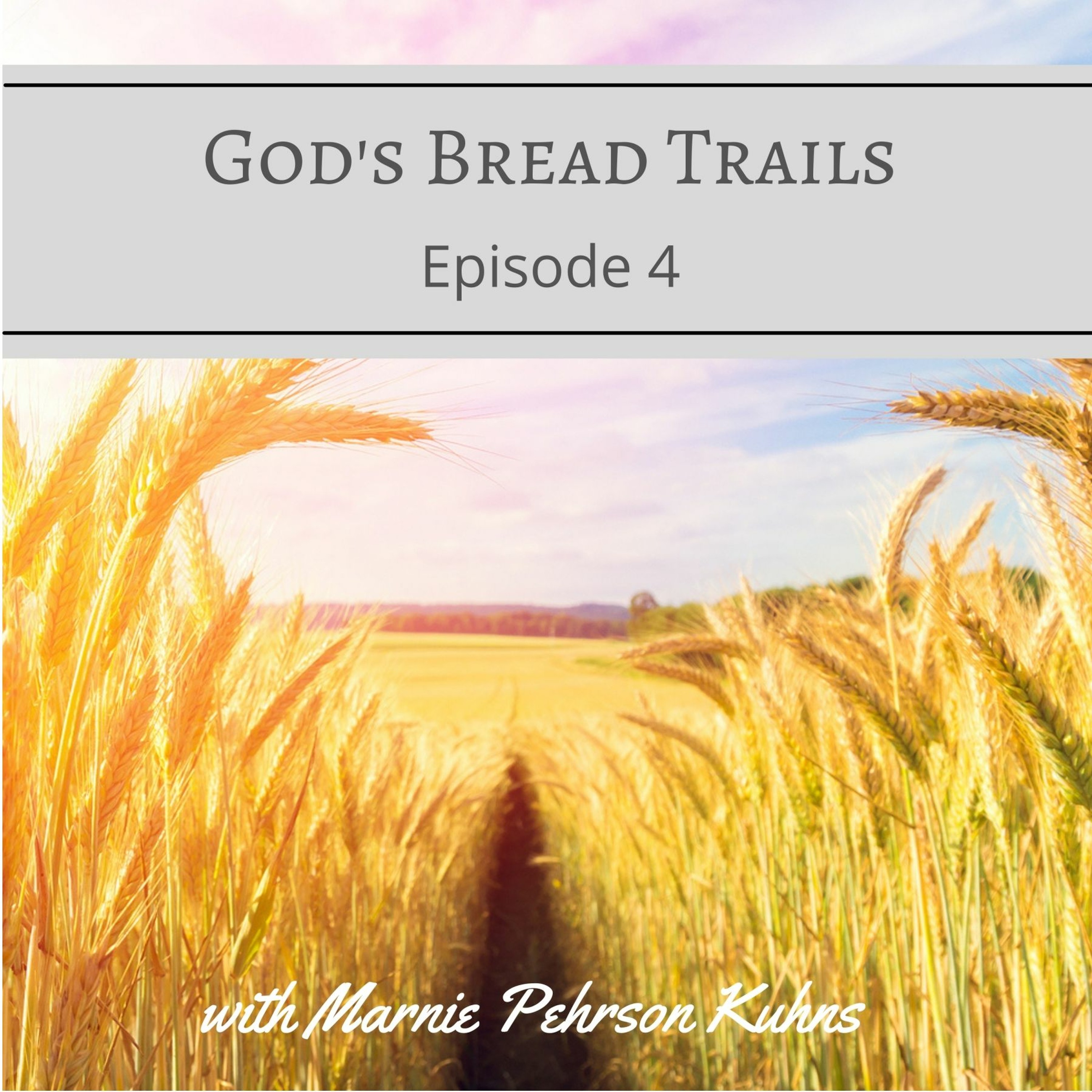 Faith & Freedom Principles: Spirit-Led Life & Front Porch Sense Podcasts