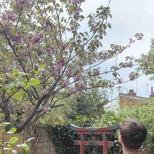 idk what to call this