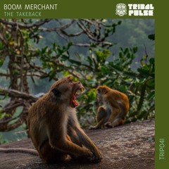 PREMIERE: Boom Merchant - Let It All Go (Original Mix) [Tribal Pulse]