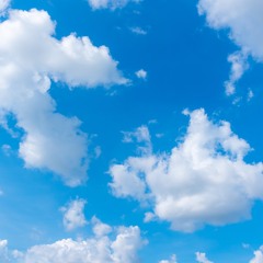 BLUE SKY DAY