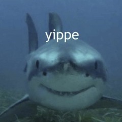 gay