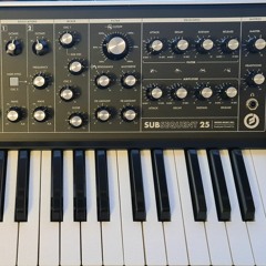 Moogiewoogie RoughTake1