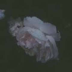 Ｌａｕｖ － Ｃｏｍｆｏｒｔａｂｌｅ Ｓｌｏｗｅｄ りぇ委卸