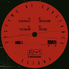 RM11 / Endlec - Systems Of Substance EP [Snippets]