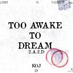 2 Awake 2 Dream (2.A.2.D)