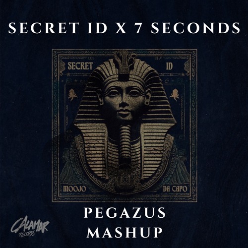 Secret ID X 7 Seconds (Pegazus Mashup) Full version on the link on description