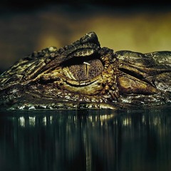 Alligator (Monsta X | RUS)