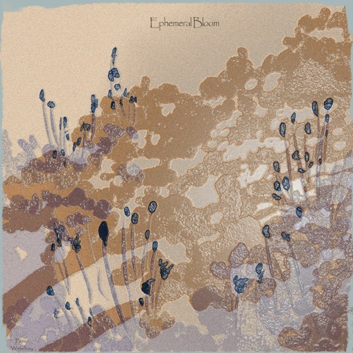 Ephemeral Bloom