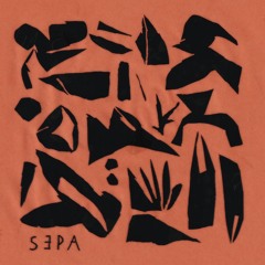 Sepa - Various Artists | Rdkn90