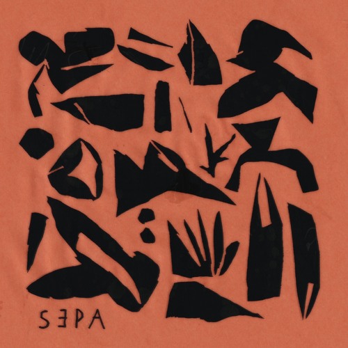 Sepa - Various Artists | Rdkn90