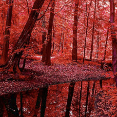 BloodResin (prod. SpaceGhostPurrp)