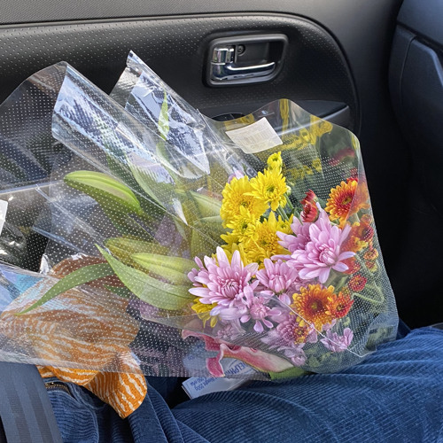 deja vu (prod by izz)