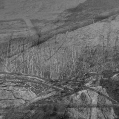 Lost Contents Within Limits