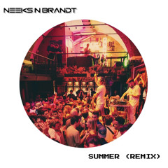 Calvin Harris - Summer (NEEKS N BRANDT Remix)