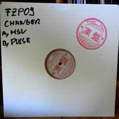 Frozen Plates (FZP09) - Changer// MSV - Pulse