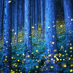 Owl City Fireflies ( D-toned remix )