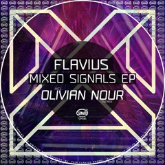Premiere : Flavius - Mixed Signals [TZH181]