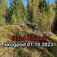 Skogpod 1. oktober 2023