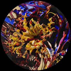 [PREMIERE] Wonky (Wigs Remix) - Orchid | 39 Records [2024]