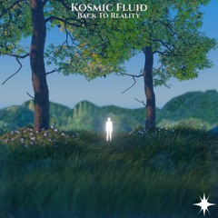 Kosmic Fluid - Back To Reality