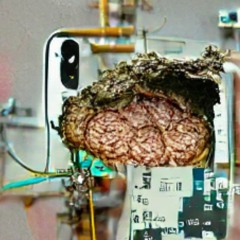 𝖜𝖊𝖇𝖗𝖆𝖛𝖊 𝟎𝟏 | 444ngel - 5G Brainrot Incident