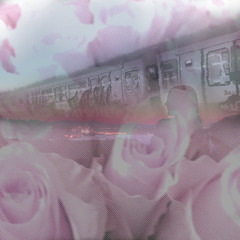 LOSER SPED UP + PITCHED