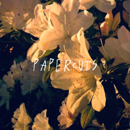 Papercuts